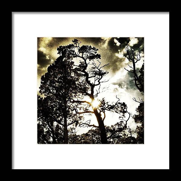 Blackandwhite Framed Print featuring the photograph Grand Canyon Dusk by Demet Peralta