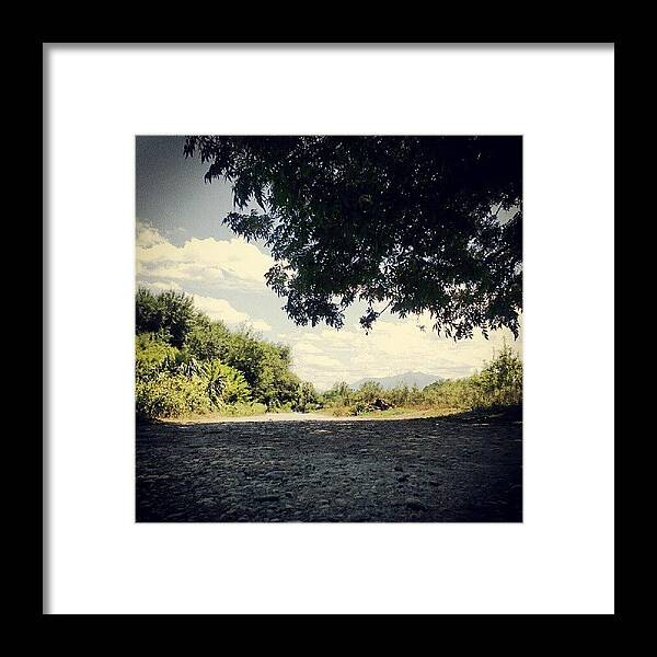 Stone Framed Print featuring the photograph #grass #street #tree #stone #day by Jerry Tamez