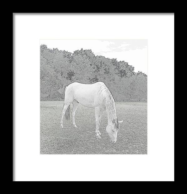 Horse Framed Print featuring the photograph Grazing by Kim Galluzzo