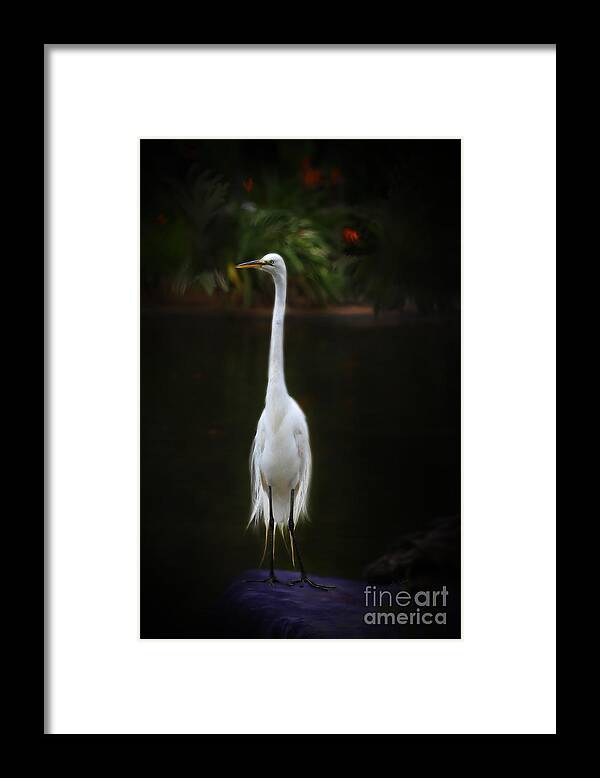 Bird Framed Print featuring the digital art Great Egret by Lisa Redfern