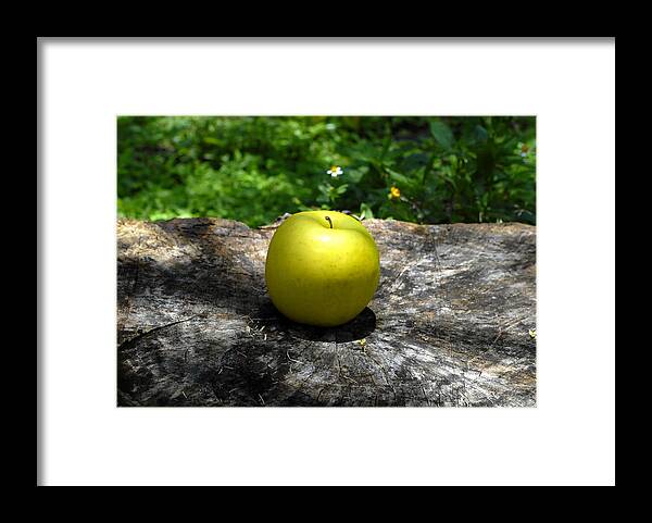 Fine Art Photography Framed Print featuring the photograph Green Apple by David Lee Thompson