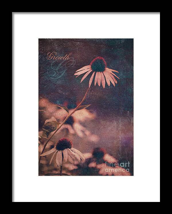 Poster Framed Print featuring the photograph Growth by Aimelle Ml