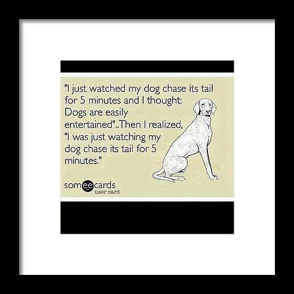 Petstagram Framed Print featuring the photograph Guilty!!.lol!!. #dogs #dogsofinstagram by Jim Neeley
