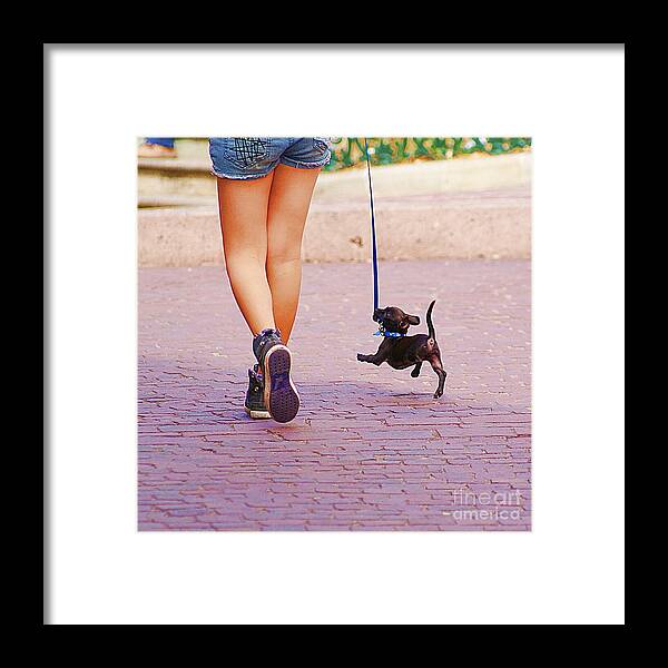 Little Framed Print featuring the photograph Happy Doggy by John Kolenberg
