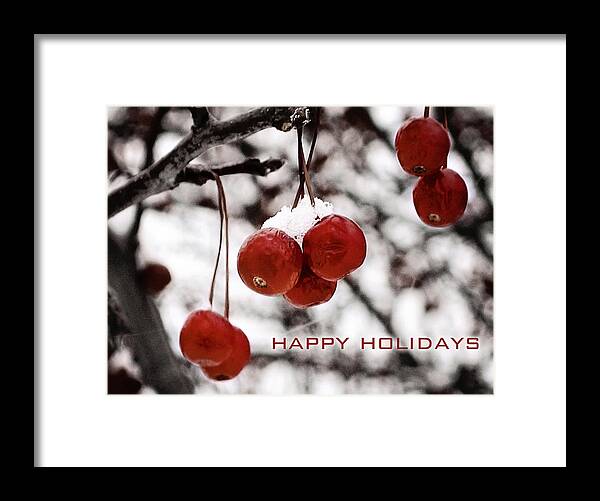 Happy Holidays Framed Print featuring the photograph Happy Holidays Berries by Laura Kinker