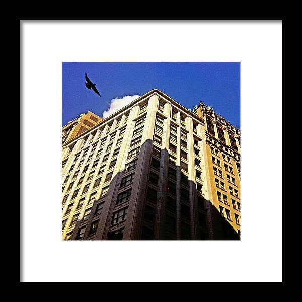 Paradox_nation Framed Print featuring the photograph Happy Hump Day! by Jamie Huenefeld