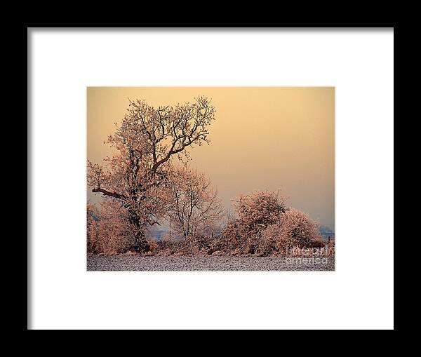 Frost Framed Print featuring the photograph Frost 2 by Linsey Williams