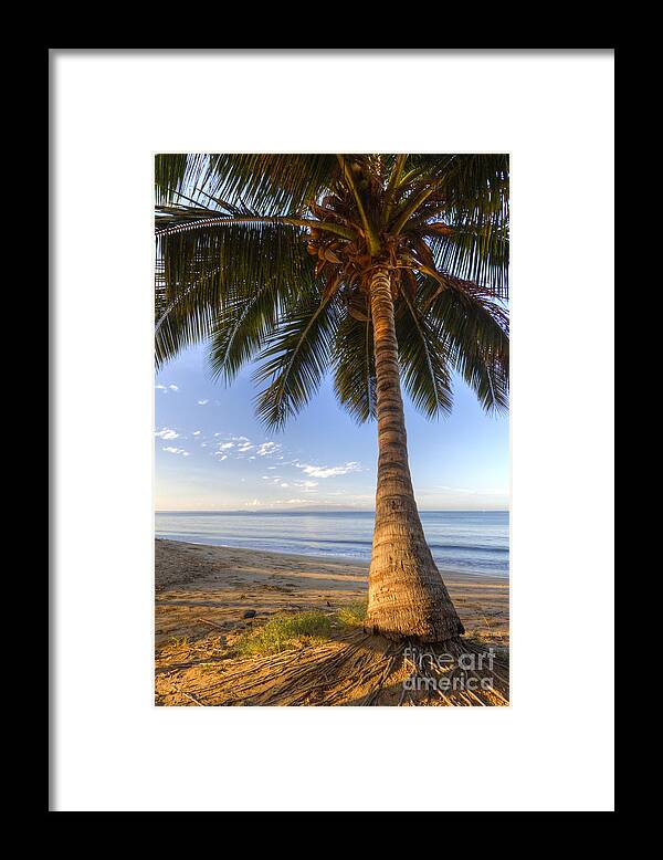 Maui Sunrise Framed Print featuring the photograph Hawaiian Coconut Palm Sunrise by Dustin K Ryan