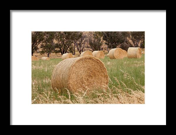 Rural Framed Print featuring the photograph Hay Bales by Michelle Wrighton
