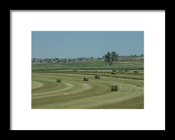 Hay Framed Print featuring the photograph Hay Time by Jerry Cahill