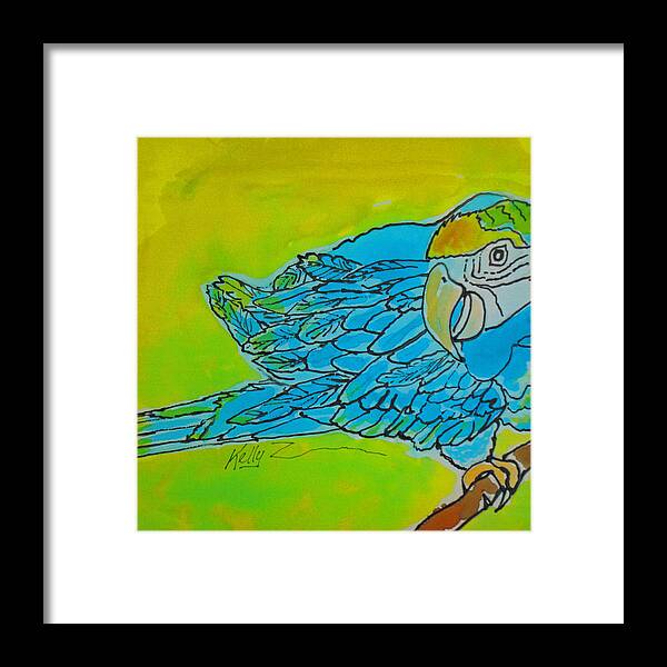Macaw Framed Print featuring the painting Hello by Kelly Smith