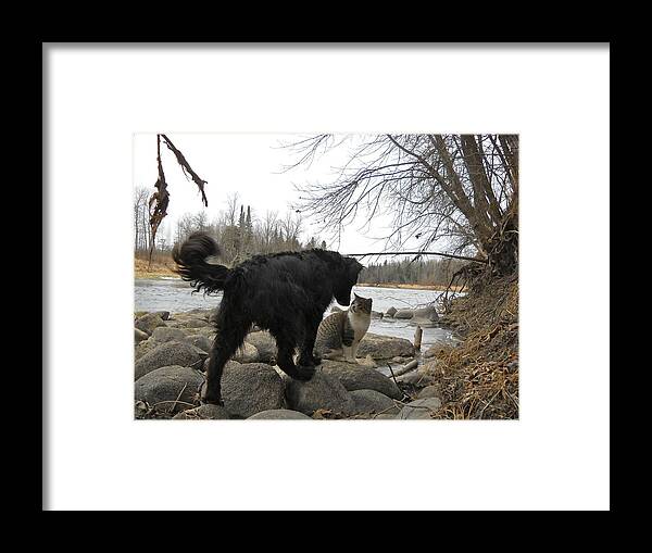 Dog Framed Print featuring the photograph Hello There by Kent Lorentzen