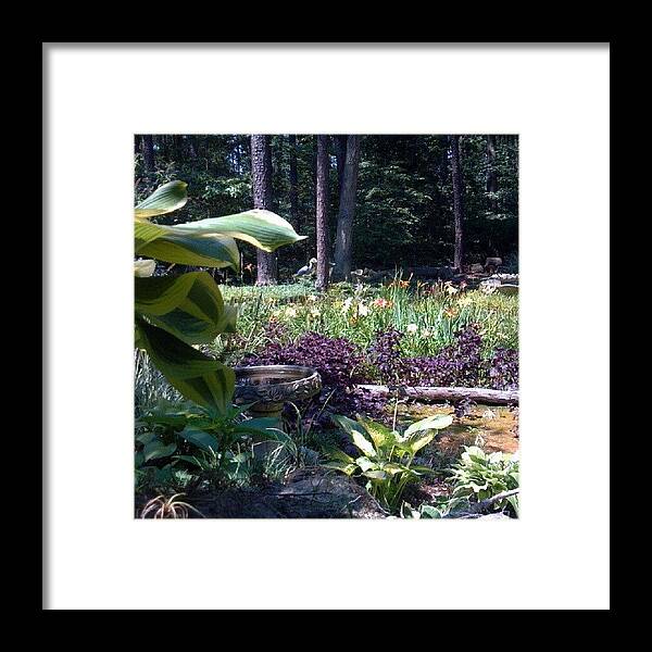 Beautiful Framed Print featuring the photograph Here You Can See An Overview Of The by Carla From Central Va Usa