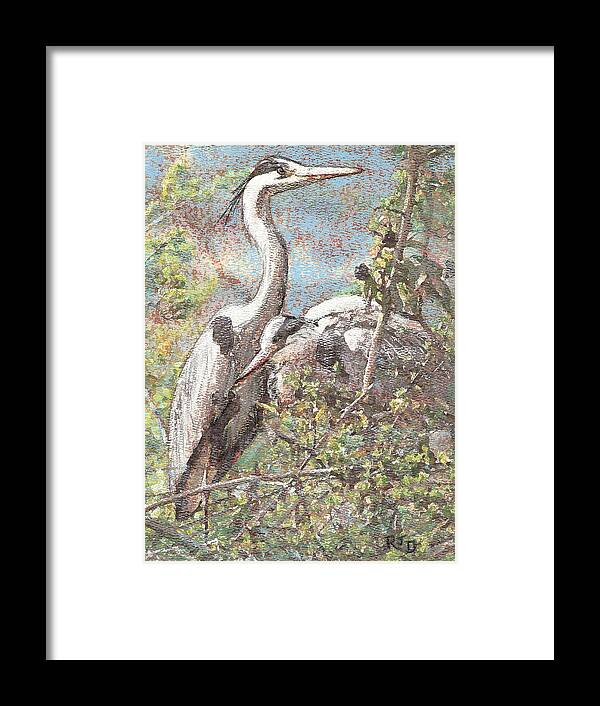 Heron Framed Print featuring the pastel Herons resting by Richard James Digance