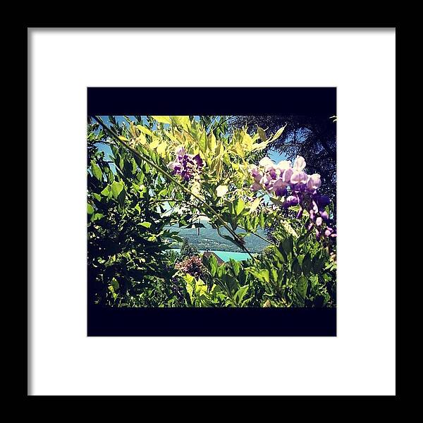 Flowers Framed Print featuring the photograph Hidden Water by Eve Godat