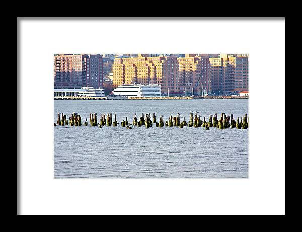 The High Line Framed Print featuring the photograph High Line Print 40 by Terry Wallace