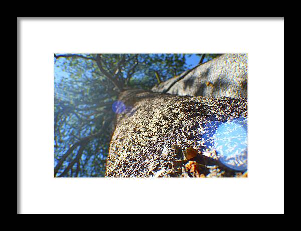 Photo Framed Print featuring the photograph High up by Martin Valeriano