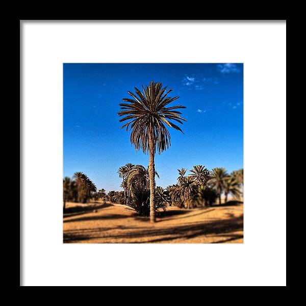  Framed Print featuring the photograph Highest by Tommy Tjahjono