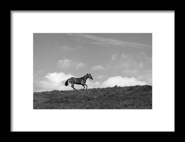 Landscape Framed Print featuring the photograph Hilltop Gallop by Jean Macaluso