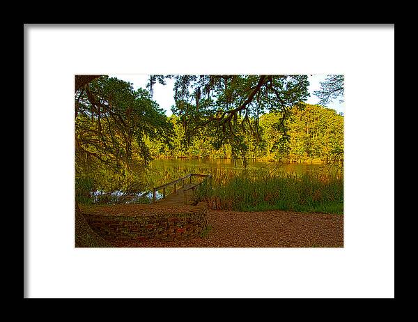 Pond Framed Print featuring the photograph Hobcaw Barony Pond by Bill Barber