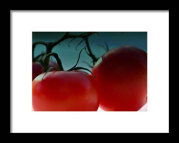 Vine Ripe Tomato's Framed Print featuring the photograph Home Grown.... by Tanya Tanski