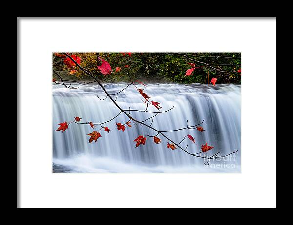 Fall Foliage At Hooker Falls Framed Print featuring the photograph Hooker Falls Blue Ridge Mountains North Carolina by Dawna Moore Photography