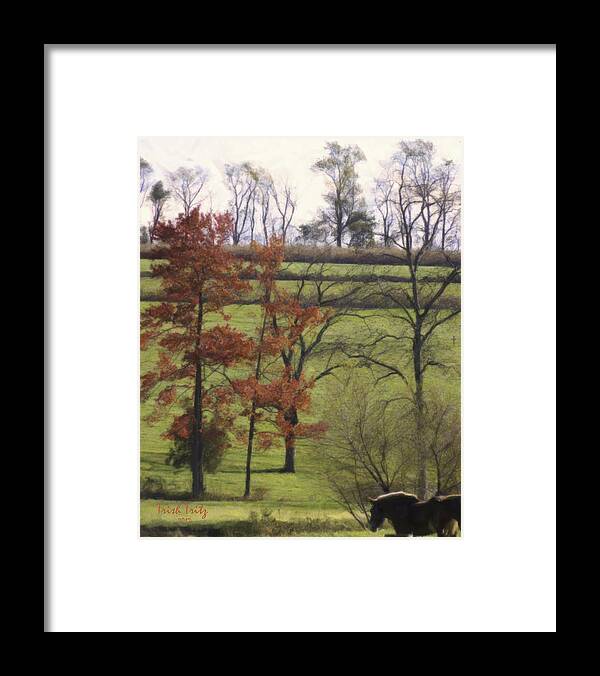Horse Framed Print featuring the photograph Horse On The Pasture by Trish Tritz