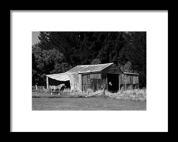 Equine Framed Print featuring the photograph Horses and Old Barn by Fran Woods