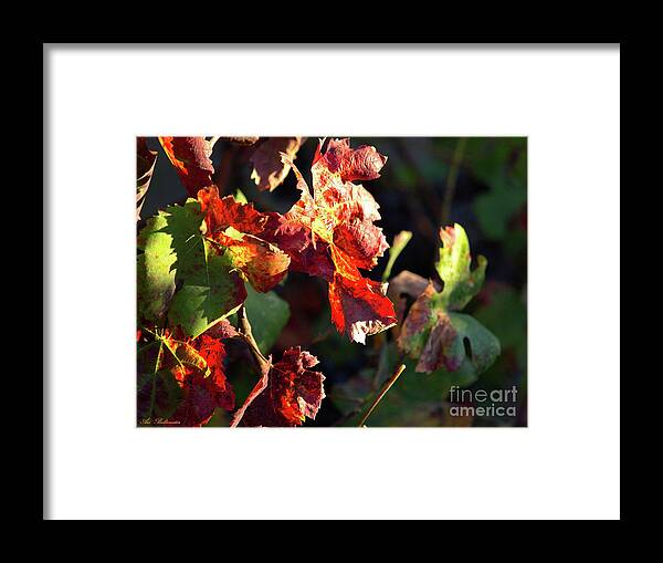 Hot Framed Print featuring the photograph Hot autumn Leaves by Arik Baltinester