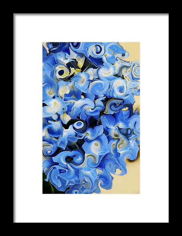 Hydrangea Framed Print featuring the photograph Hydrangea in Abstraction by JoAnn Lense