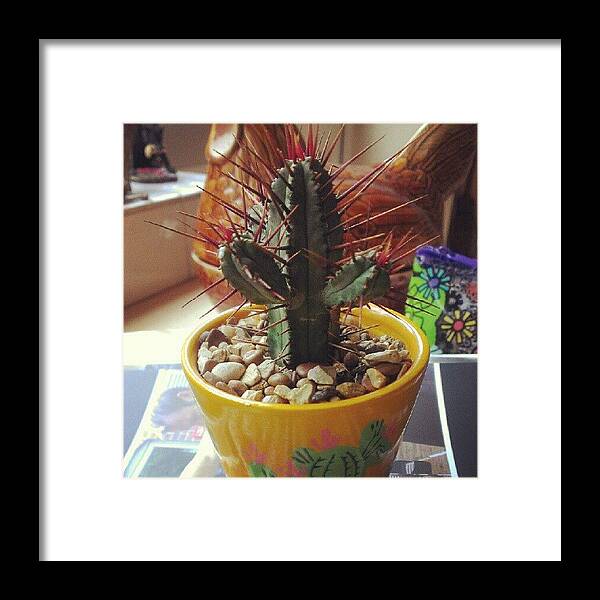  Framed Print featuring the photograph I Have A New Cactus! This Makes Me by Bee Mcmahon