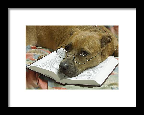 Pit Framed Print featuring the photograph I Read My Bible Every Day by Renee Trenholm