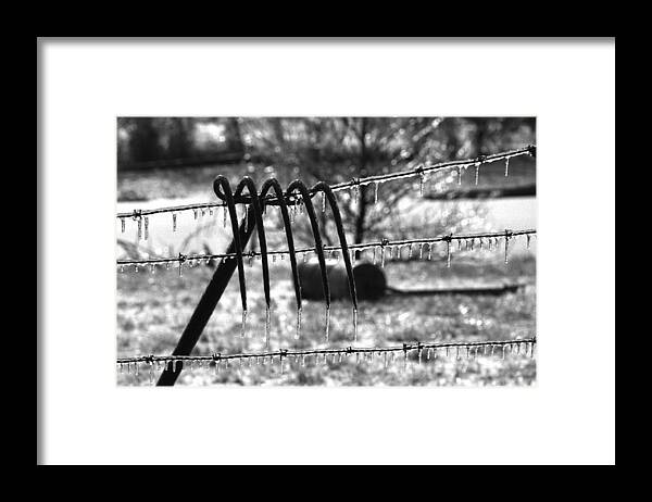 Ice Storm Framed Print featuring the photograph Ice Storm on the Farm by Wanda Brandon