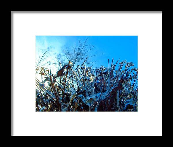 Ice Framed Print featuring the digital art Icy Shell by Dennis Lundell