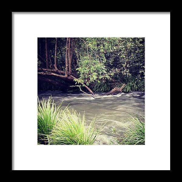 Creek Framed Print featuring the photograph #imbil #yabbacreek #booroumbadam by Tony Keim