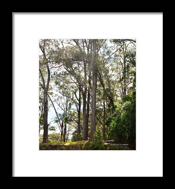 Interior Design Framed Print featuring the photograph Impossibly Tall by Paulette B Wright