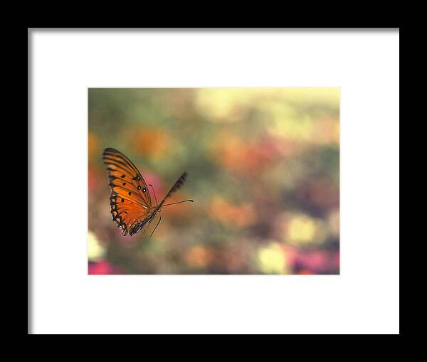 Butterfly Framed Print featuring the photograph In Flight by Joel Olives