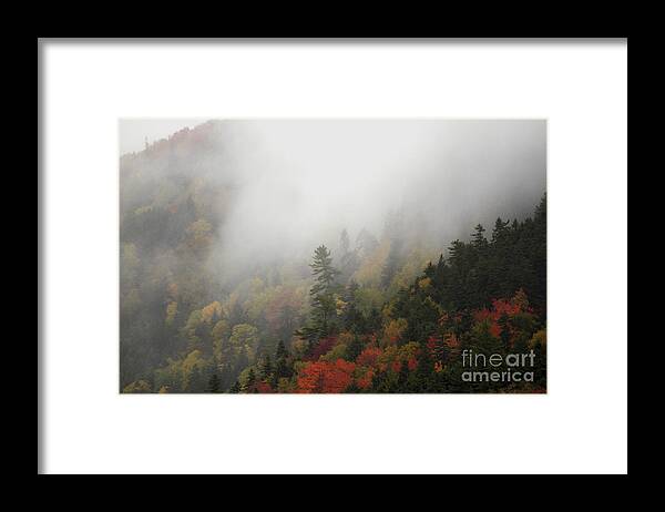 Maine Framed Print featuring the photograph In His Image by Brenda Giasson