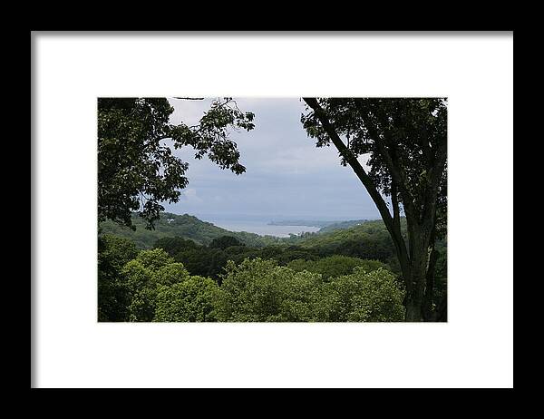  Framed Print featuring the photograph In The JUNGLE by Y C