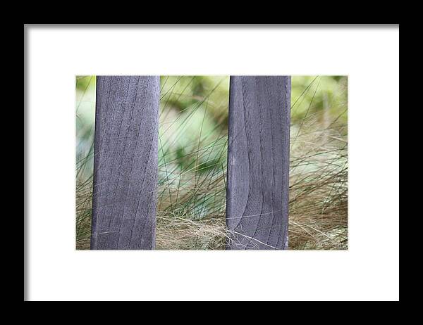 Tall Grass Framed Print featuring the photograph In The Meadows by Amy Gallagher
