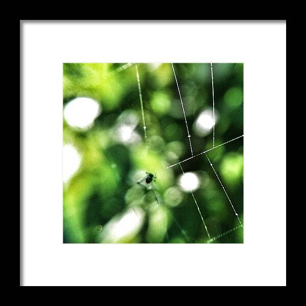 Got_talent Framed Print featuring the photograph In The Trap  by Melanie Stork