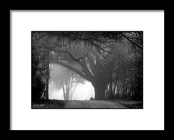 Fog Framed Print featuring the photograph In to the Unknown by Farol Tomson