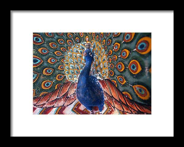 Asian Framed Print featuring the photograph India: Peacock by Granger