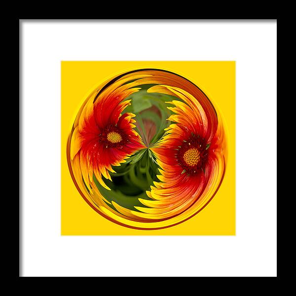 Orb Framed Print featuring the photograph Indian Blanket Flower Orb by Bill Barber