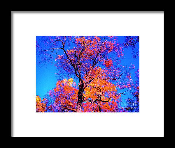 Autumn Framed Print featuring the photograph Indian Summer Autumn Scene by Susan Carella