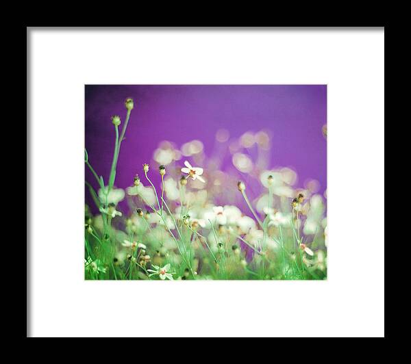 Wildflowers Framed Print featuring the photograph Infatuation in Purple by Amy Tyler