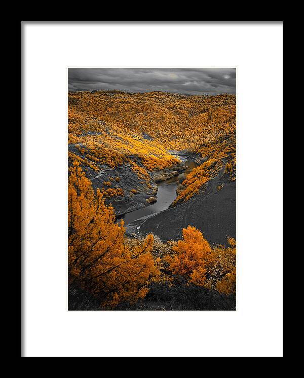 Scenic Framed Print featuring the photograph Infrared 1 by Jim Painter