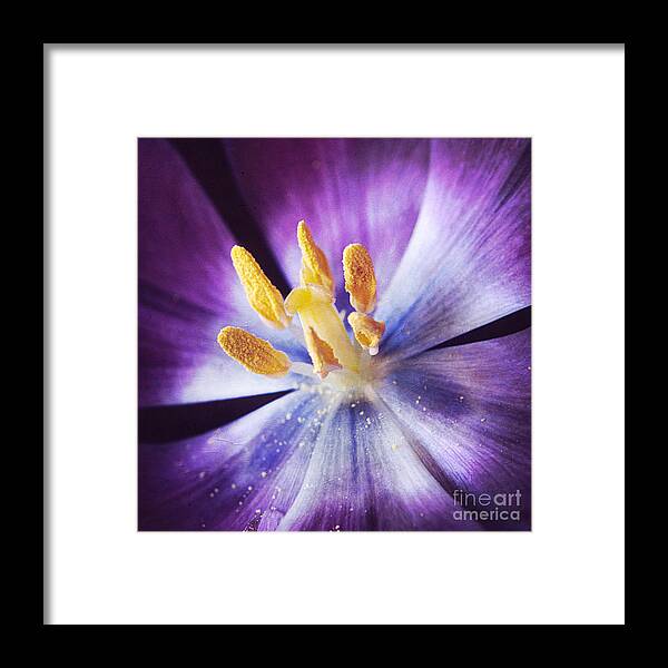 Abstract Framed Print featuring the photograph Inner Beauty by Darren Fisher