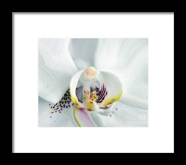 Flower Framed Print featuring the painting Inside Job.... by Tanya Tanski