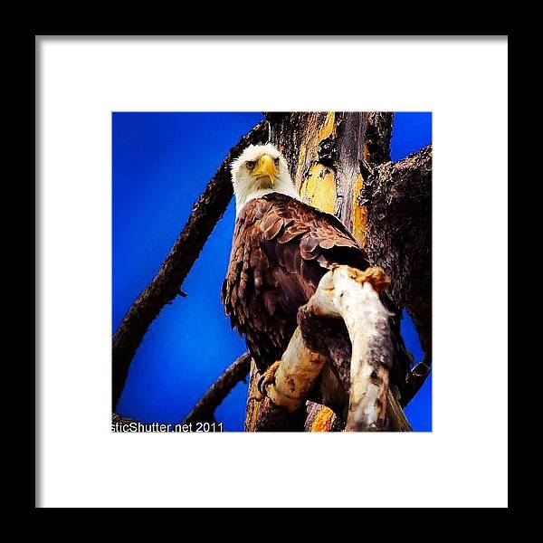 Scenery Framed Print featuring the photograph #iphone #scenery #hiking #nature #birds by Artistic Shutter